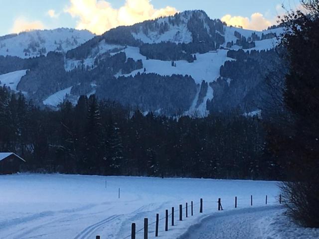 Alphirt Ferienwohnungen Fischen im Allgaeu Bagian luar foto