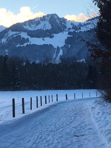 Alphirt Ferienwohnungen Fischen im Allgaeu Bagian luar foto